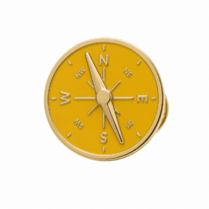 Pin Módulo 9